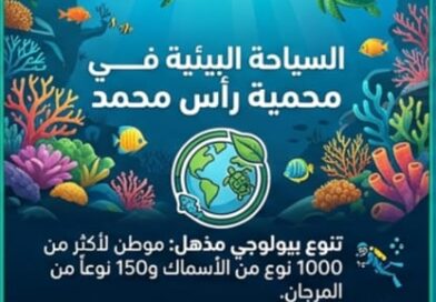 رأس محمد.. حيث يلتقي البحر بالحياة في لوحة طبيعية نادرة